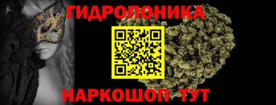 стаф Анапа