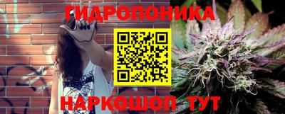 стаф Анапа