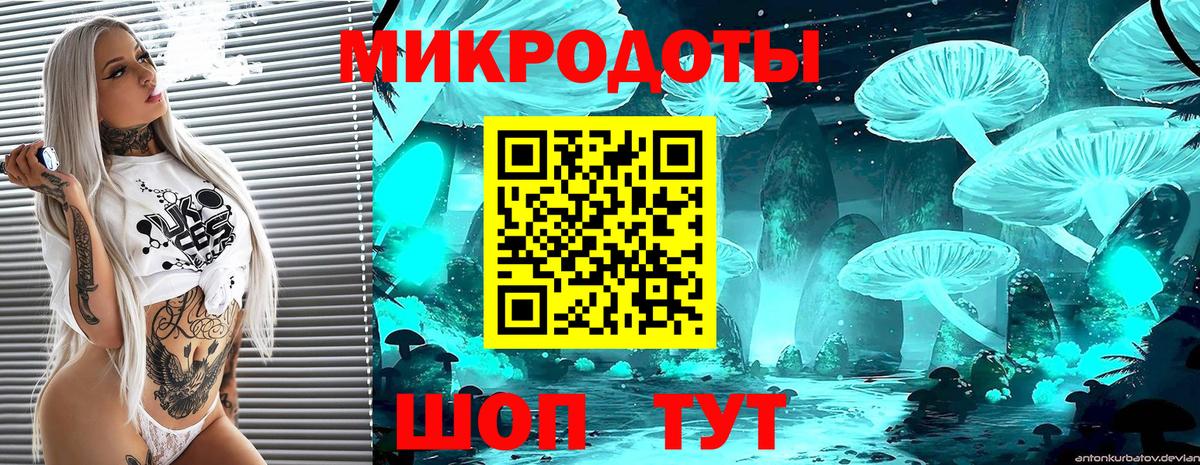 Янаул  Галлюциногенные грибы Cubensis  Вход с VPN 
